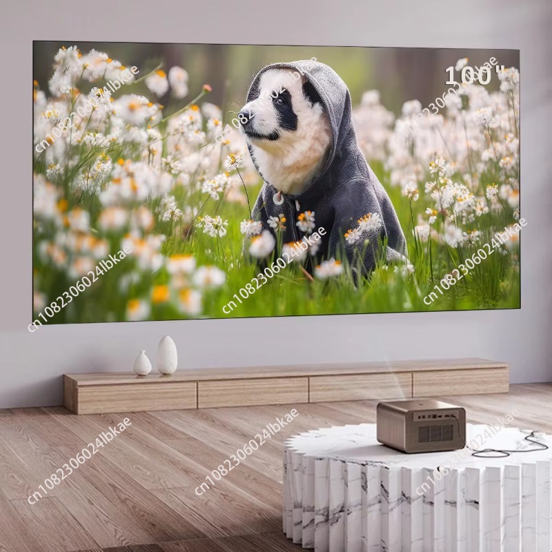 Projector Screen 100 Inch - 100inch fixed frame 16:9 projection screen
