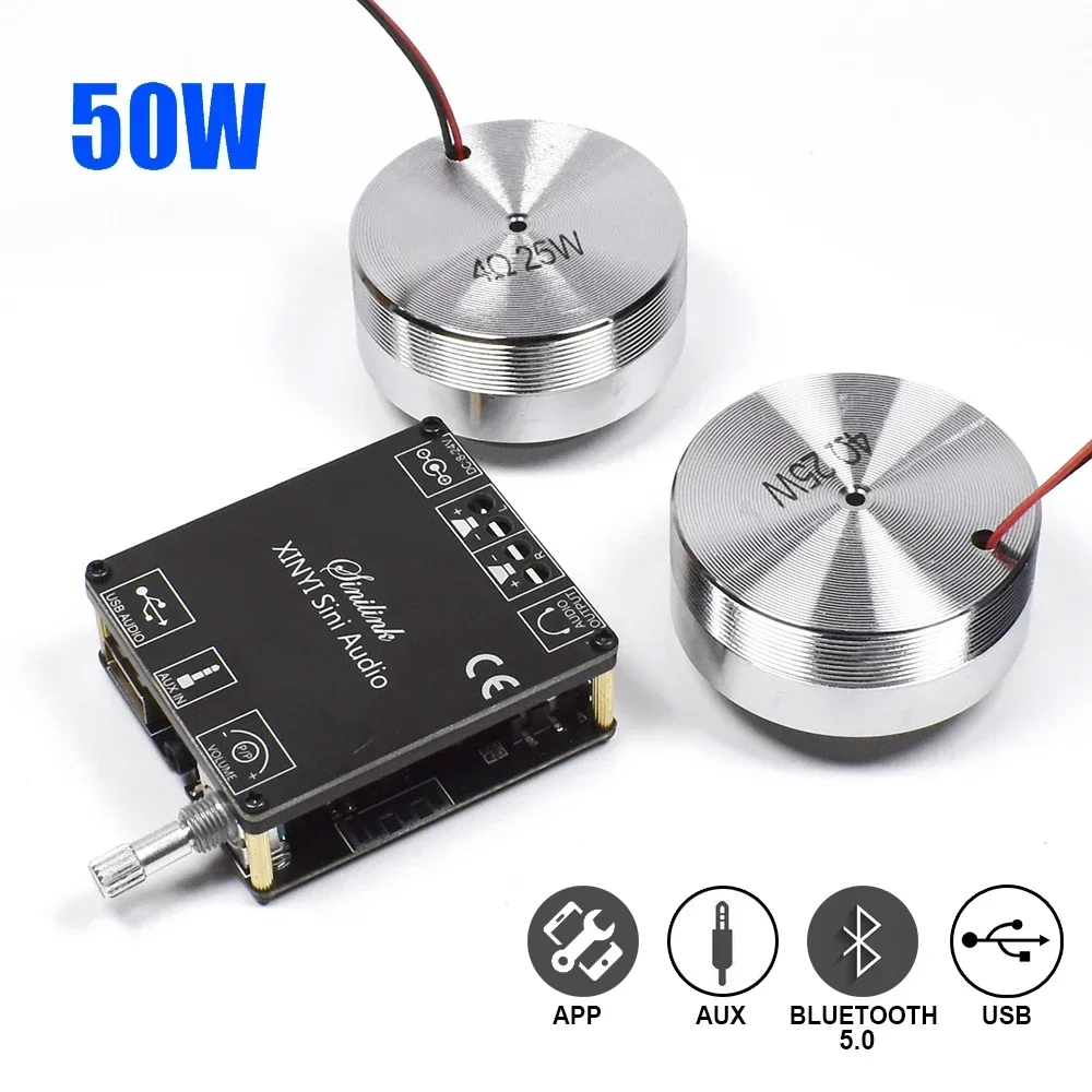 Home Cinema Solution - 2*25W Portable Stereo Vibration Speaker Audio