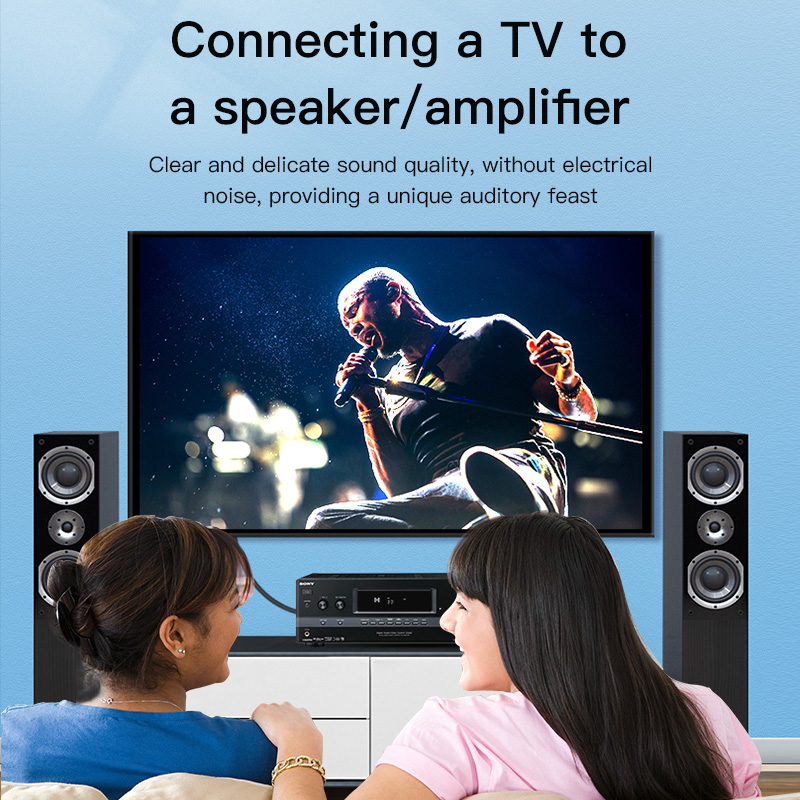 CHOSEAL RCA Cable Digital Coax - Home Cinema Idea recension och pris